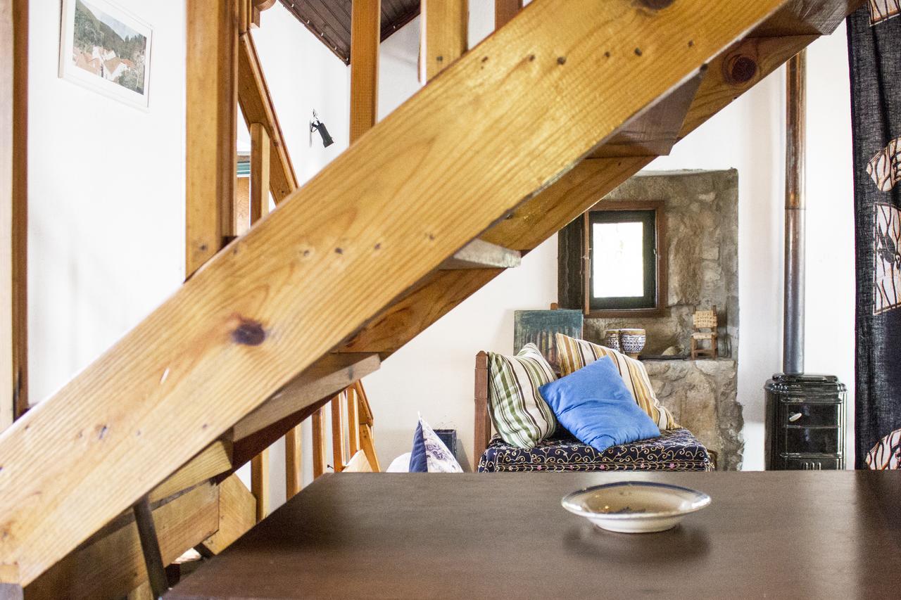 Casa Do Coentral A Sua Casa Rustica Villa Lousã Kültér fotó